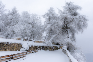 Nevicata alla Mendola