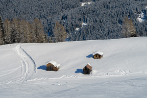 Tre Cime