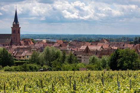 La Strada del Vino