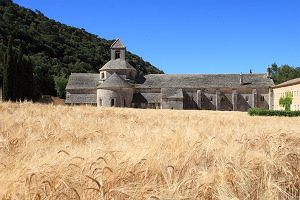 Abbaye de Senanque