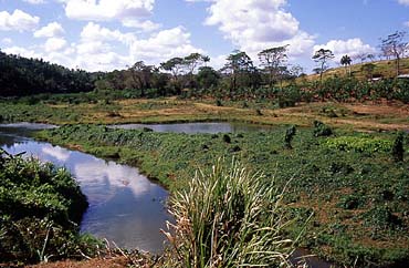 Rio Chavon