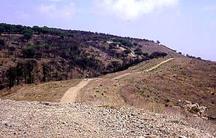 Lunga è la via....