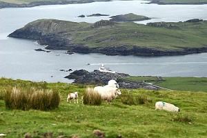 Valentia Island