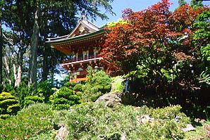 Japanese Tea Garden