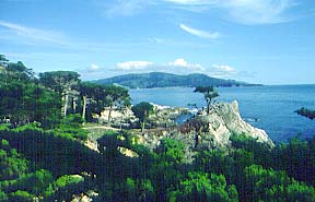 Cypress Point Lookout